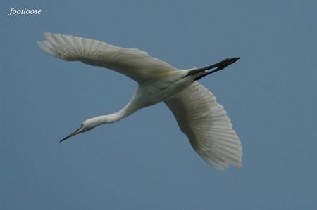 20090830_041.jpg