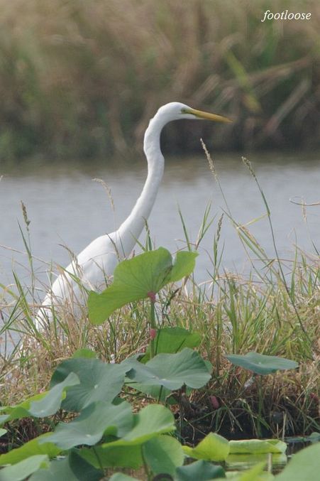 20090830_056.jpg