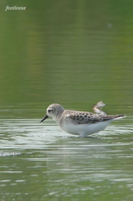 20090830_105.jpg