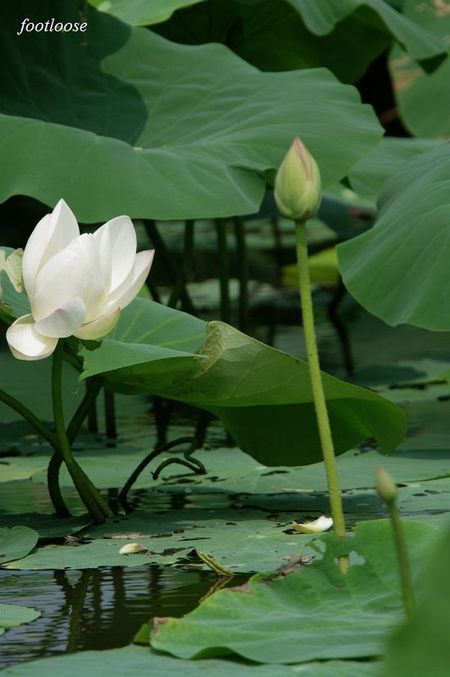 20090830_191.jpg