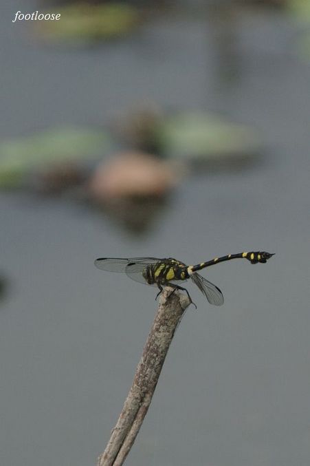 20090830_279.jpg