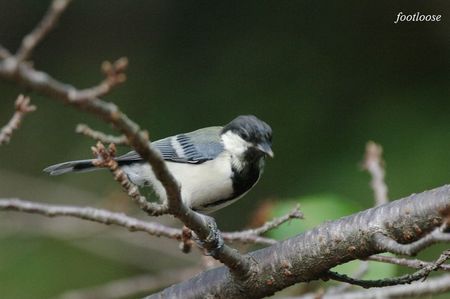 20090903_039.jpg