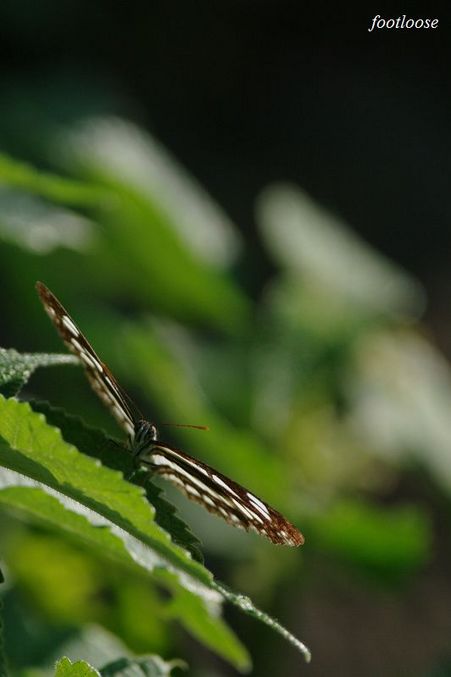 20090917_040.jpg