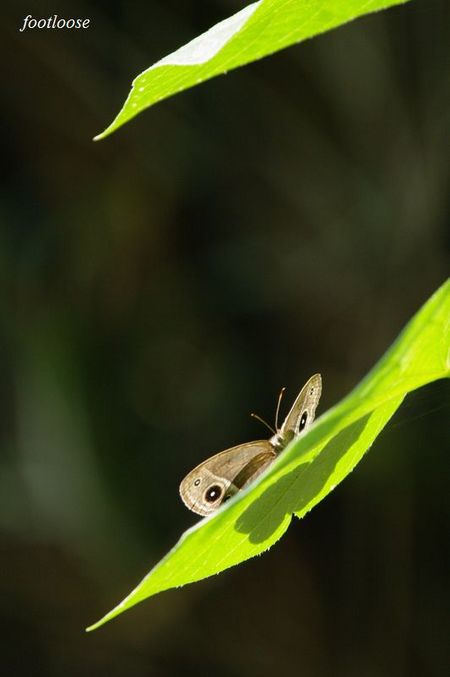 20090917_049.jpg