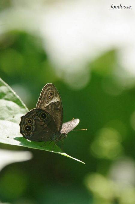 20090917_051.jpg