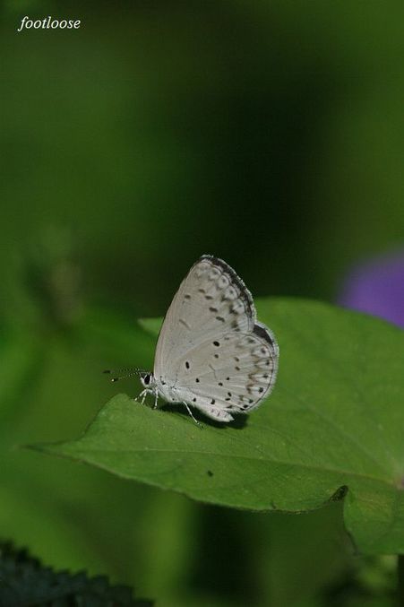 20090917_093.jpg