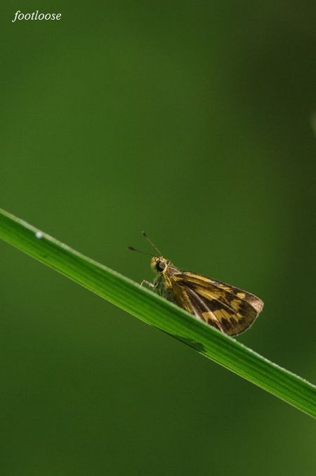 20090917_100.jpg