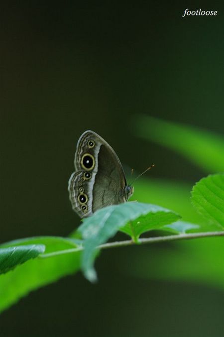 20090917_130.jpg