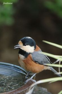 20090918_109.jpg