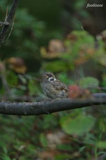 20090918_123.jpg