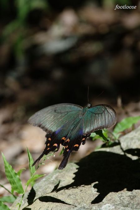20090919_105.jpg