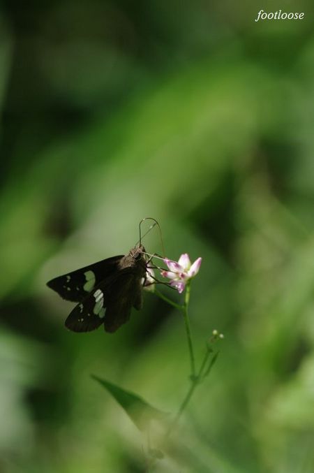 20090919_107.jpg