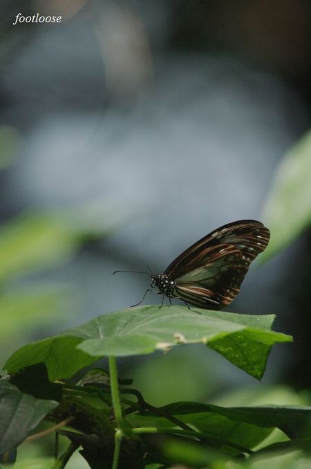 20090919_190.jpg