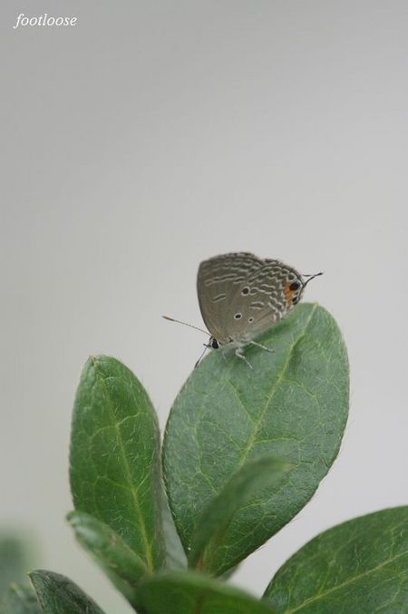 20090922_036.jpg