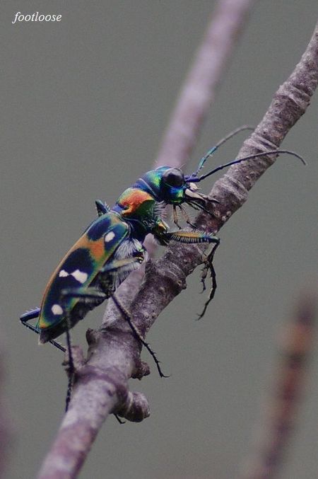 20090930_008.jpg