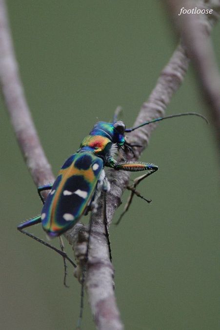 20090930_012.jpg
