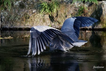 20091018_151.jpg