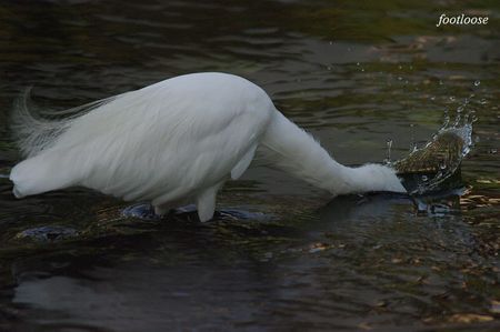 20091018_178.jpg