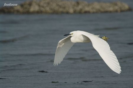 20091128_691.jpg