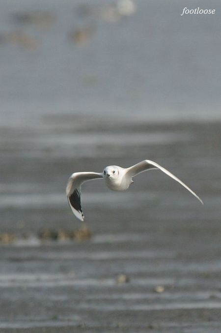 20091128_697.jpg