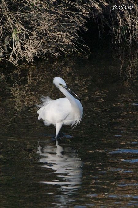 20091204_130.jpg