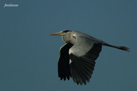 20091204_159.jpg