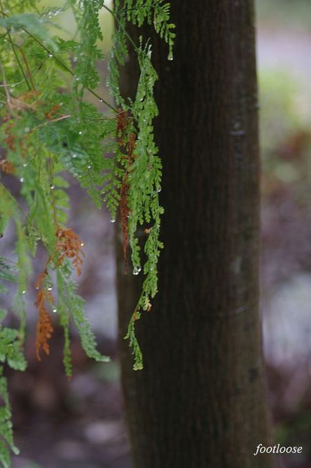 20091210_057.jpg