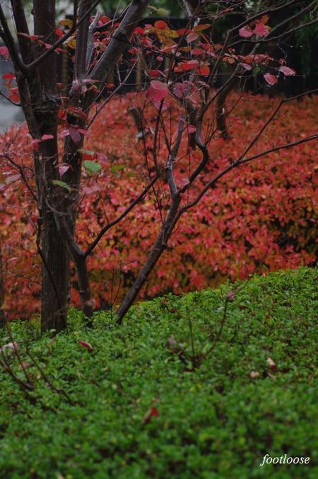 20091210_073.jpg