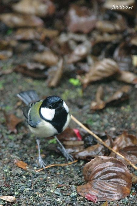 20091210_078.jpg