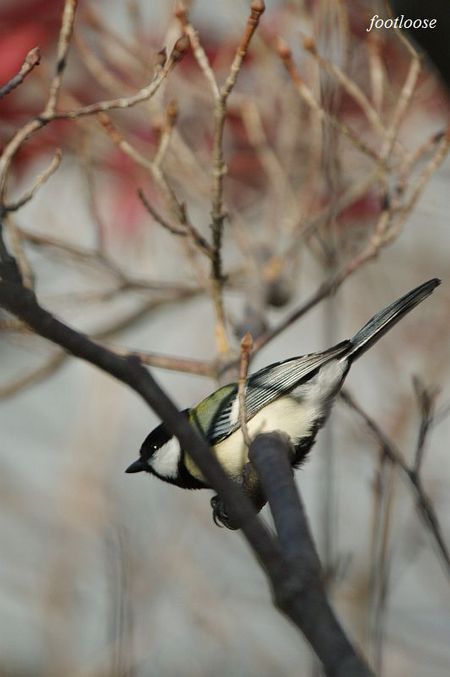 20091216_025.jpg