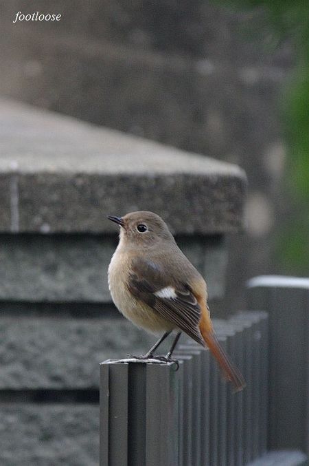 20091218_073.jpg