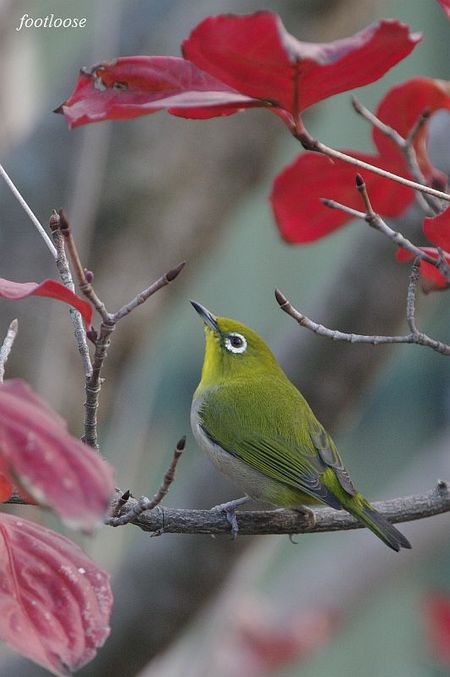 20091218_116.jpg