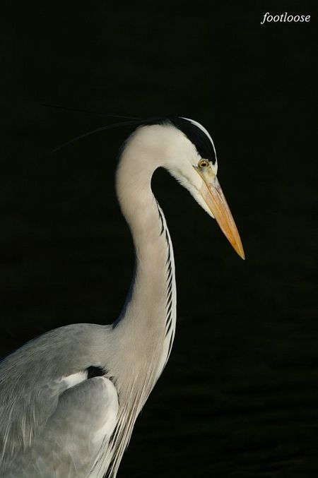 20091221_109.jpg