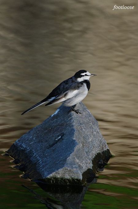 20091221_175.jpg