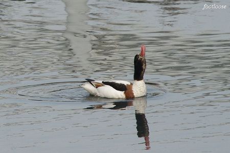 20091223_156.jpg