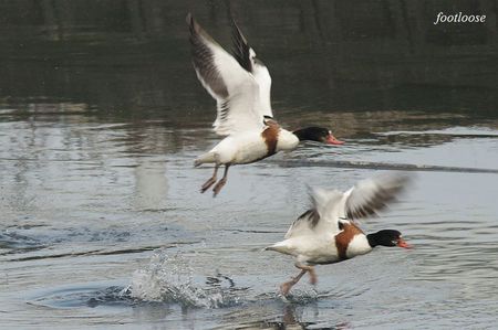 20091223_164.jpg