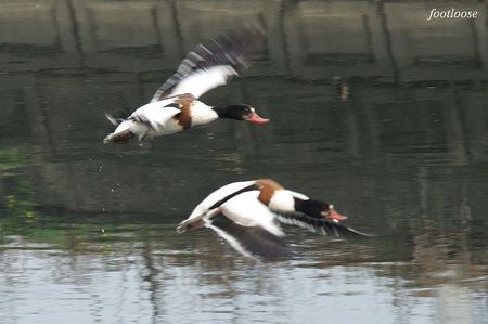 20091223_166.jpg
