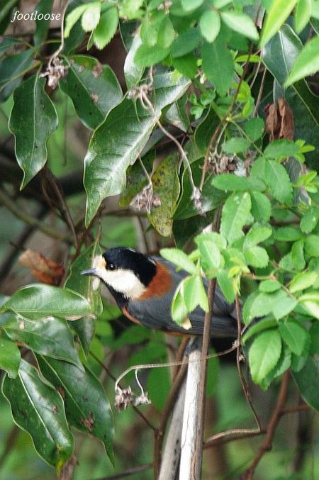 20091224_050.jpg