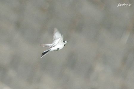 20091226_237.jpg