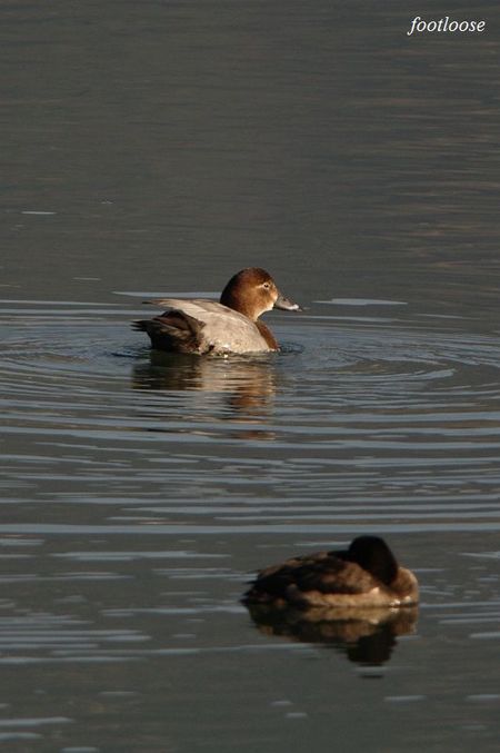 20091227_039.jpg