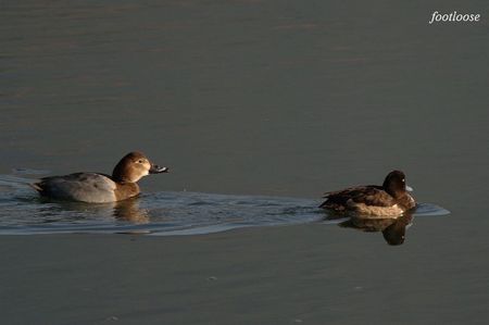 20091227_043.jpg