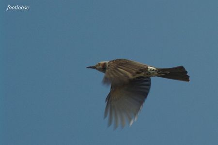 20091227_278a.jpg