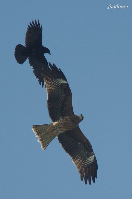 20091227_355.jpg