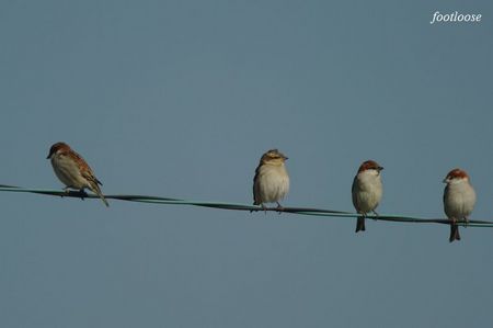 20091227_389.jpg