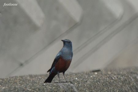 20091227_397.jpg