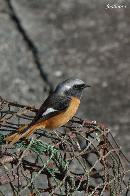20091227_410.jpg