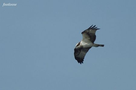 20091227_481.jpg