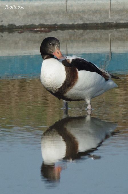 20091227_559.jpg