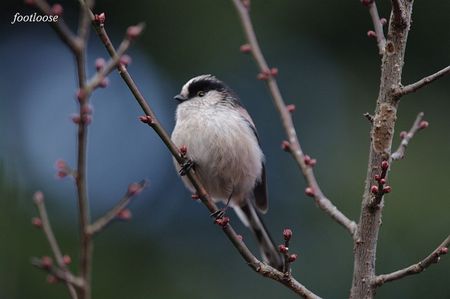20091228_165.jpg