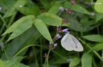 20070729_006.jpg